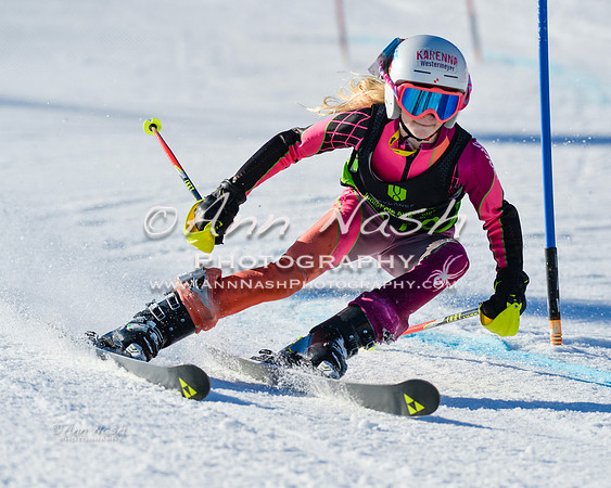 alpine-Feb19-2017-DSC_7055