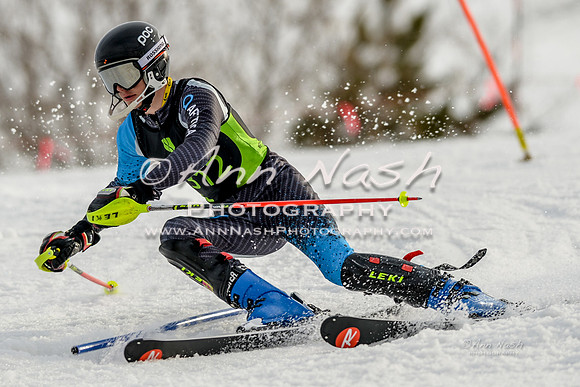 alpine-Feb19-2017-DSC_1213