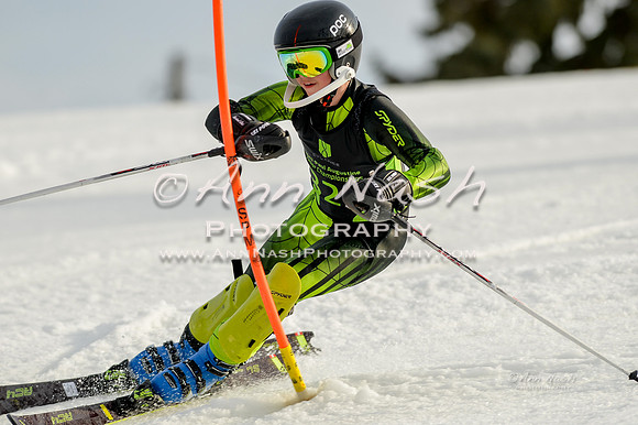 alpine-Feb19-2017-DSC_1429