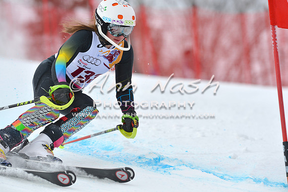 alpine_2015-02-14_10-43-14_DSC_6187_©AnnNashPhotographyLLC_2015