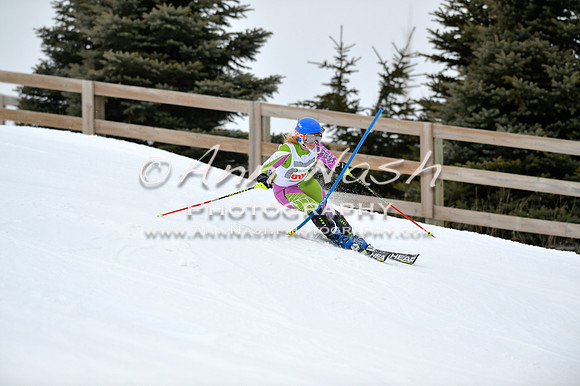 alpine_2015-01-22_11-53-51_DSC_0767_©AnnNashPhotographyLLC_2015