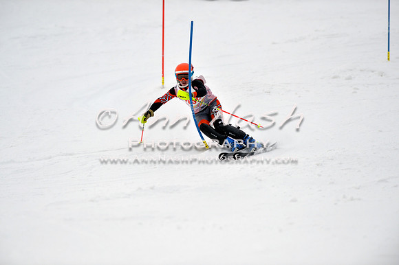 alpine_2015-01-22_11-49-49_DSC_0634_©AnnNashPhotographyLLC_2015