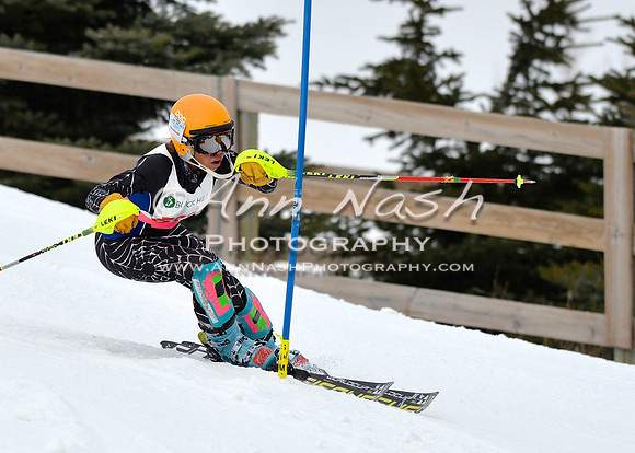 alpine_2015-01-22_11-50-13_DSC_0647_©AnnNashPhotographyLLC_2015