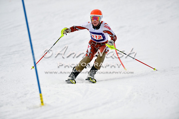 alpine_2015-01-22_11-43-07_DSC_0368_©AnnNashPhotographyLLC_2015