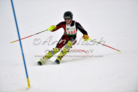 alpine_2015-01-22_12-09-21_DSC_1238_©AnnNashPhotographyLLC_2015