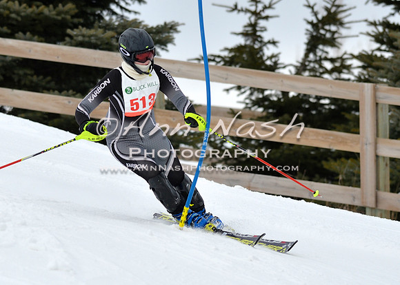 alpine_2015-01-22_12-02-07_DSC_1015_©AnnNashPhotographyLLC_2015