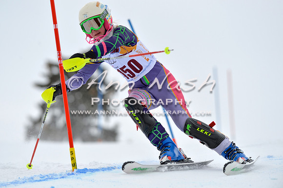 alpine_2015-02-14_12-48-09_DSC_7559_©AnnNashPhotographyLLC_2015