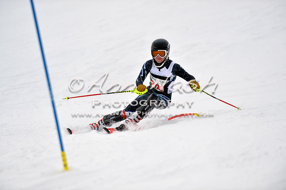 alpine_2015-01-22_11-47-25_DSC_0519_©AnnNashPhotographyLLC_2015