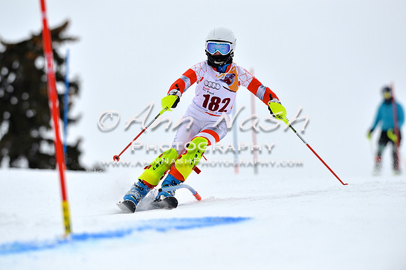 alpine_2015-02-14_12-42-45_DSC_7524_©AnnNashPhotographyLLC_2015