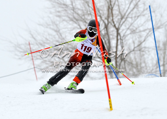 alpine_2015-02-14_13-21-18_DSC_8216_©AnnNashPhotographyLLC_2015