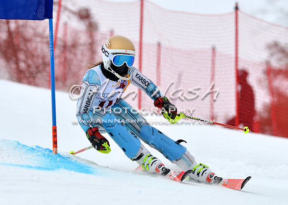 alpine_2015-02-14_10-45-13_DSC_6243_©AnnNashPhotographyLLC_2015