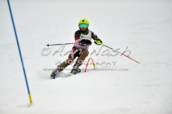 alpine_2015-01-22_12-17-06_DSC_1462_©AnnNashPhotographyLLC_2015