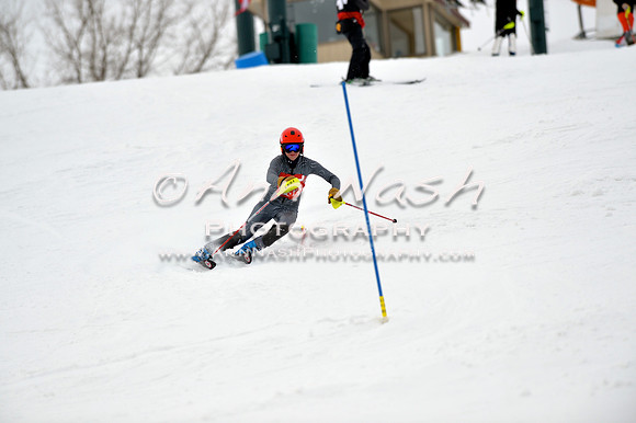alpine_2015-01-22_11-48-52_DSC_0600_©AnnNashPhotographyLLC_2015