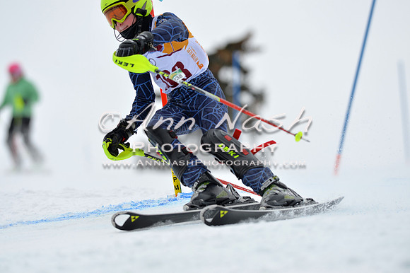 alpine_2015-02-14_12-51-17_DSC_7597_©AnnNashPhotographyLLC_2015