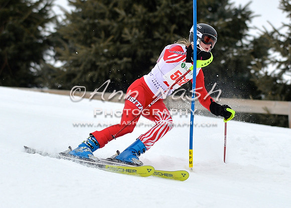 alpine_2015-01-22_11-51-46_DSC_0724_©AnnNashPhotographyLLC_2015