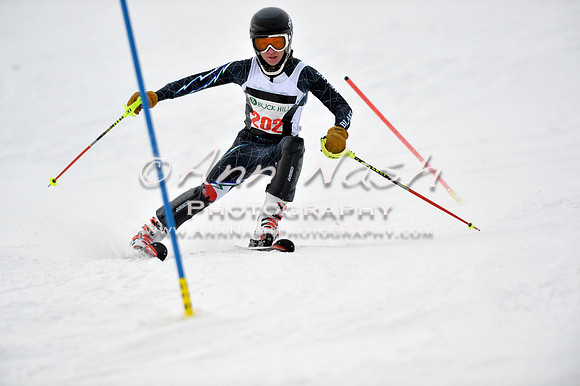 alpine_2015-01-22_11-47-26_DSC_0522_©AnnNashPhotographyLLC_2015