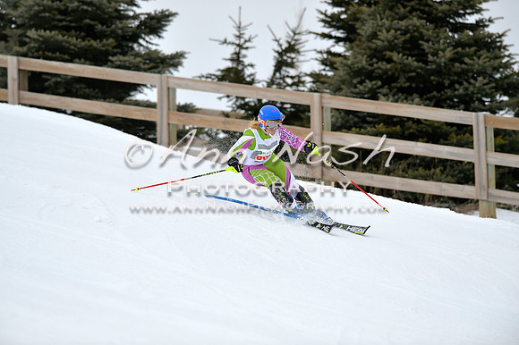 alpine_2015-01-22_11-53-52_DSC_0768_©AnnNashPhotographyLLC_2015