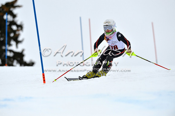 alpine_2015-02-14_12-59-18_DSC_7766_©AnnNashPhotographyLLC_2015