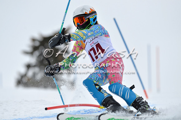 alpine_2015-02-14_12-48-43_DSC_7569_©AnnNashPhotographyLLC_2015