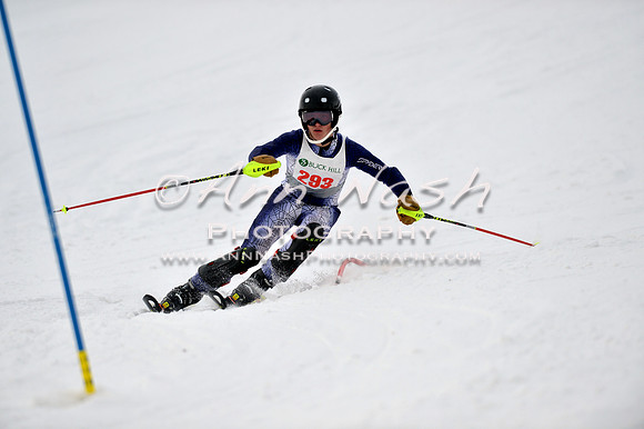 alpine_2015-01-22_12-06-36_DSC_1160_©AnnNashPhotographyLLC_2015