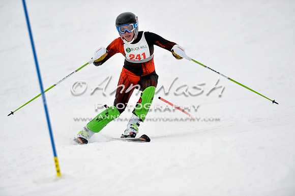 alpine_2015-01-22_11-38-23_DSC_0182_©AnnNashPhotographyLLC_2015