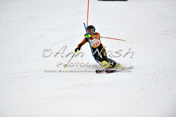 alpine_2015-01-22_12-05-10_DSC_1123_©AnnNashPhotographyLLC_2015