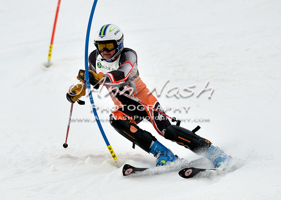 alpine_2015-01-22_12-08-45_DSC_1213_©AnnNashPhotographyLLC_2015