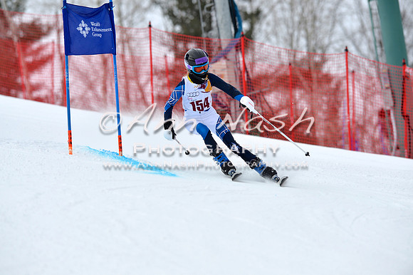 alpine_2015-02-14_10-30-48_DSC_5834_©AnnNashPhotographyLLC_2015