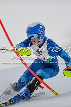 alpine-Jan-19-2018-DSC_4877-©ANP