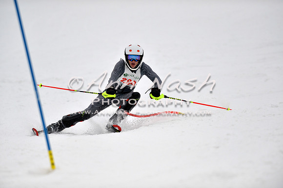alpine_2015-01-22_12-18-41_DSC_1517_©AnnNashPhotographyLLC_2015