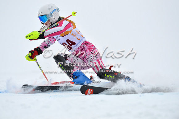 alpine_2015-02-14_13-37-43_DSC_8526_©AnnNashPhotographyLLC_2015