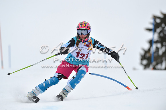 alpine_2015-02-14_13-13-40_DSC_8092_©AnnNashPhotographyLLC_2015
