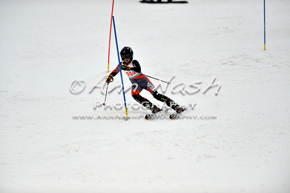 alpine_2015-01-22_12-16-11_DSC_1446_©AnnNashPhotographyLLC_2015