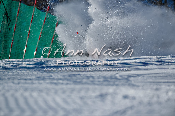alpine-Feb-14-2018-DSC_2567-©ANP