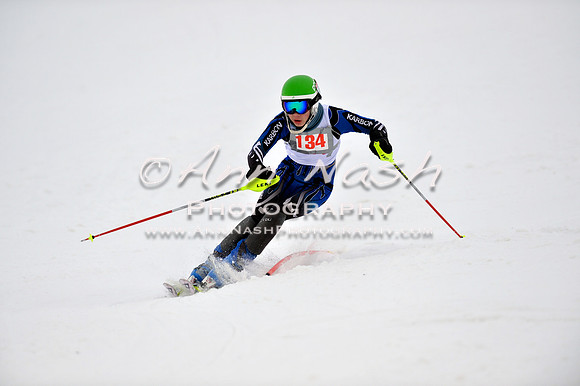 alpine_2015-01-22_12-10-16_DSC_1268_©AnnNashPhotographyLLC_2015