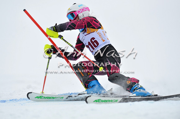 alpine_2015-02-14_13-34-59_DSC_8445_©AnnNashPhotographyLLC_2015