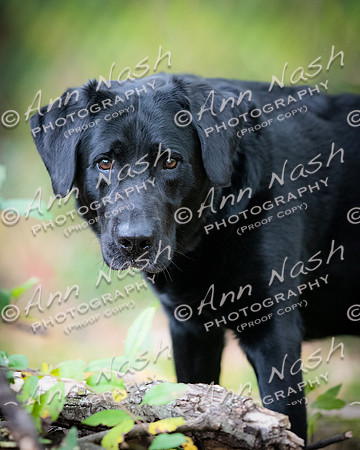 untitled-Oct-14-2024-DSC_0802-©ANP