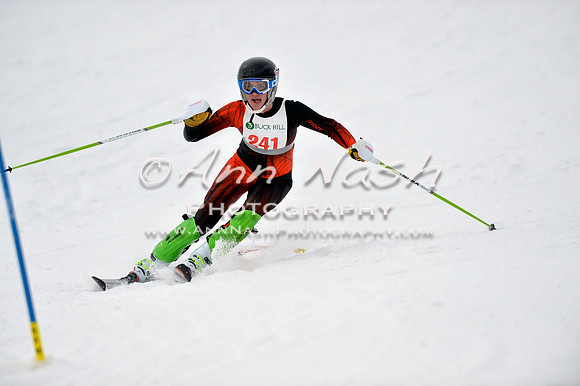 alpine_2015-01-22_11-38-23_DSC_0180_©AnnNashPhotographyLLC_2015