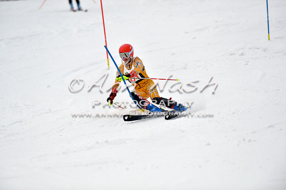 alpine_2015-01-22_11-40-40_DSC_0251_©AnnNashPhotographyLLC_2015