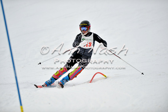 alpine_2015-01-22_12-07-51_DSC_1194_©AnnNashPhotographyLLC_2015