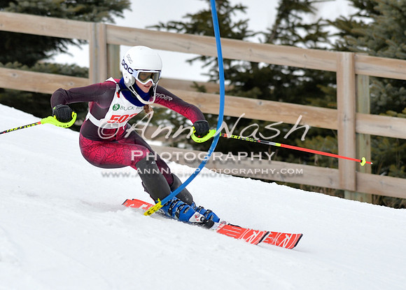 alpine_2015-01-22_11-48-34_DSC_0595_©AnnNashPhotographyLLC_2015