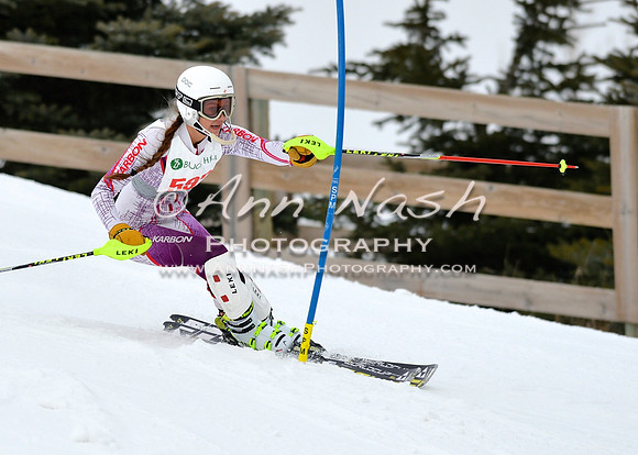 alpine_2015-01-22_11-53-24_DSC_0756_©AnnNashPhotographyLLC_2015