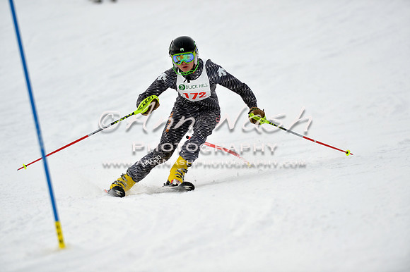 alpine_2015-01-22_11-45-56_DSC_0470_©AnnNashPhotographyLLC_2015