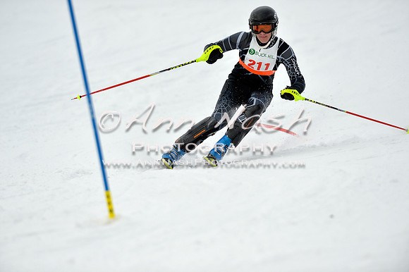 alpine_2015-01-22_11-36-48_DSC_0127_©AnnNashPhotographyLLC_2015