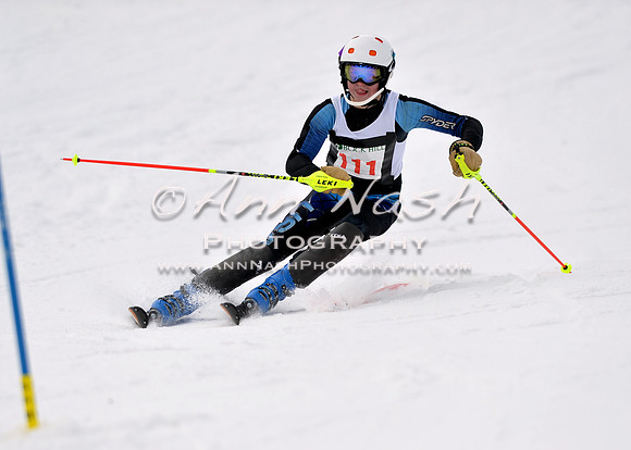 alpine_2015-01-22_11-31-40_DSC_9907_©AnnNashPhotographyLLC_2015