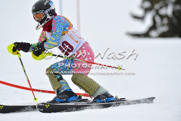 alpine_2015-02-14_13-15-28_DSC_8125_©AnnNashPhotographyLLC_2015