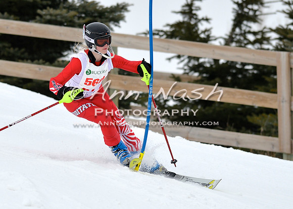 alpine_2015-01-22_11-51-48_DSC_0726_©AnnNashPhotographyLLC_2015