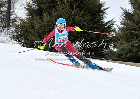 alpine_2015-01-22_12-00-36_DSC_0981_©AnnNashPhotographyLLC_2015