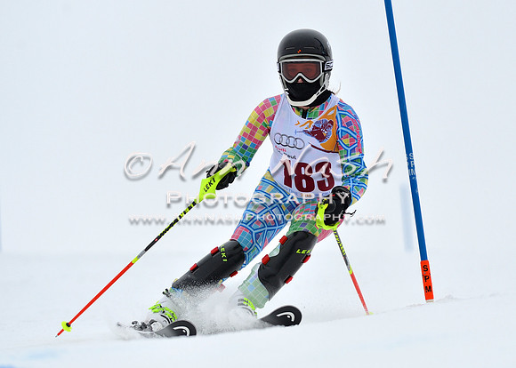alpine_2015-02-14_13-27-57_DSC_8330_©AnnNashPhotographyLLC_2015