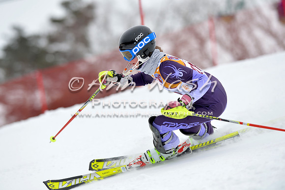 alpine_2015-02-14_13-36-09_DSC_8475_©AnnNashPhotographyLLC_2015